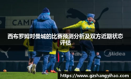 西布罗姆对曼城的比赛预测分析及双方近期状态评估